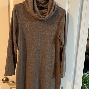 Banana Republic Cowl Neck Knit long sleeve Dress